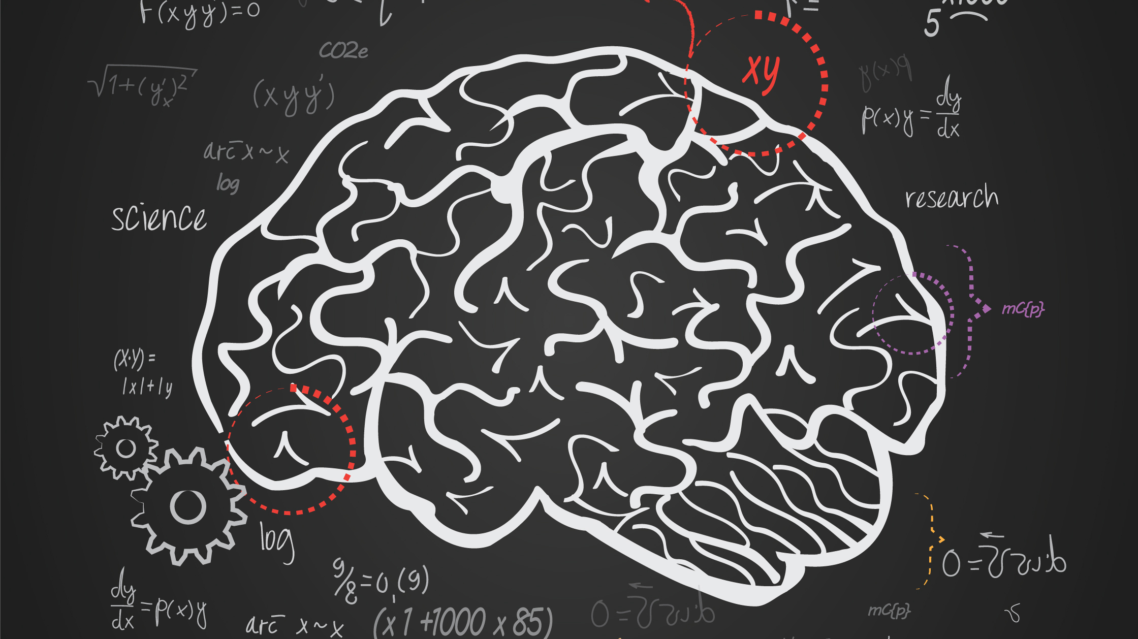 Descubren Cómo El Cerebro Procesa Las Matemáticas Varía Con La Edad 9395