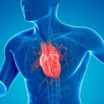 Crean un test genético que anticipa el riesgo de ocho enfermedades cardiovasculares frecuentes